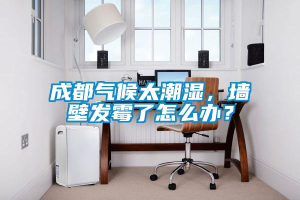 成都?xì)夂蛱睗瘢瑝Ρ诎l(fā)霉了怎么辦？