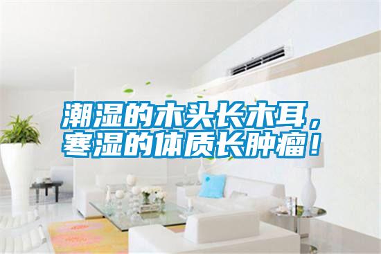 潮濕的木頭長(zhǎng)木耳，寒濕的體質(zhì)長(zhǎng)腫瘤！