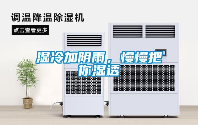 濕冷加陰雨，慢慢把你濕透
