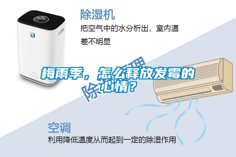 梅雨季，怎么釋放發霉的心情？