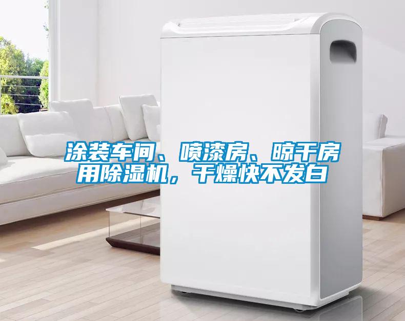 涂裝車間、噴漆房、晾干房用除濕機，干燥快不發(fā)白
