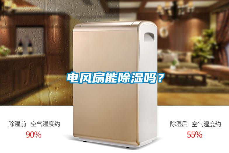 電風扇能除濕嗎？