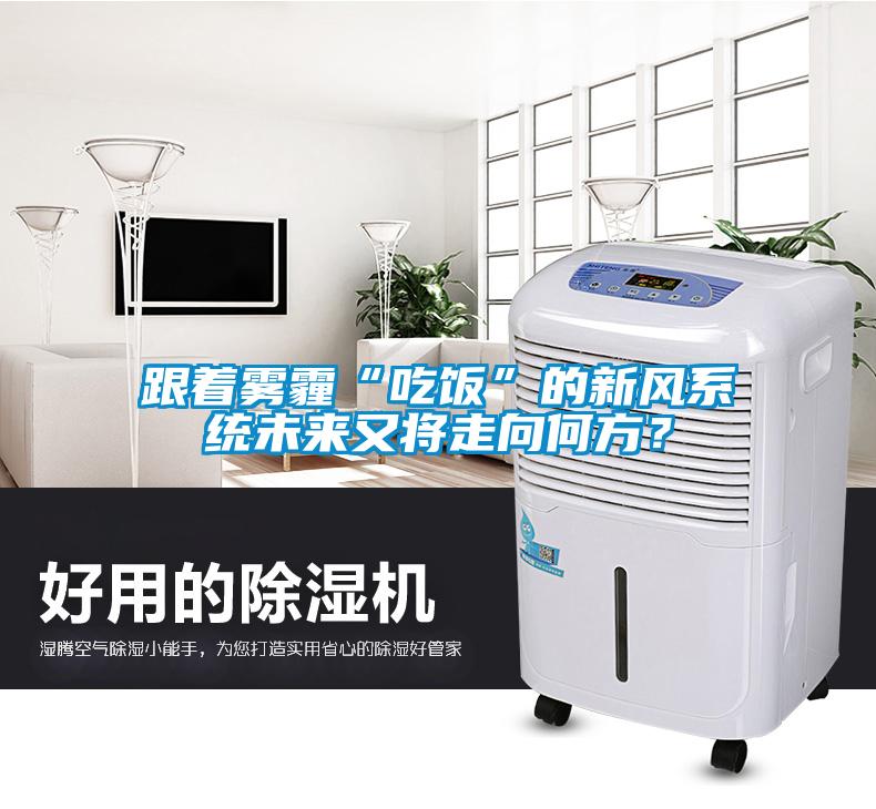 跟著霧霾“吃飯”的新風(fēng)系統(tǒng)未來又將走向何方？
