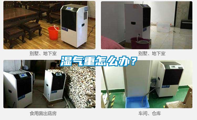 濕氣重怎么辦？