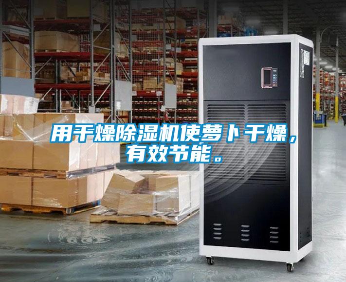 用干燥除濕機使蘿卜干燥，有效節能。