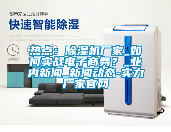 熱點：除濕機廠家_如何實戰電子商務？_業內新聞_新聞動態-實力廠家官網