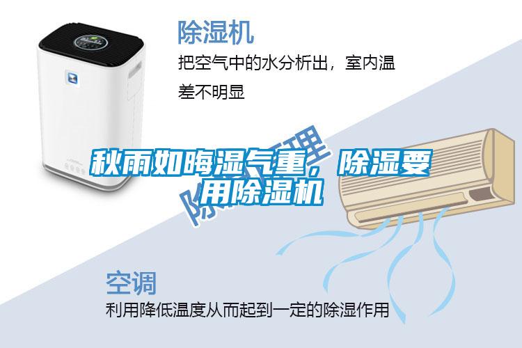 秋雨如晦濕氣重，除濕要用除濕機