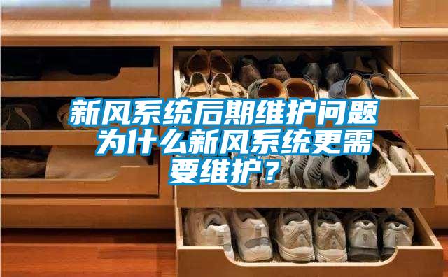新風系統(tǒng)后期維護問題 為什么新風系統(tǒng)更需要維護？