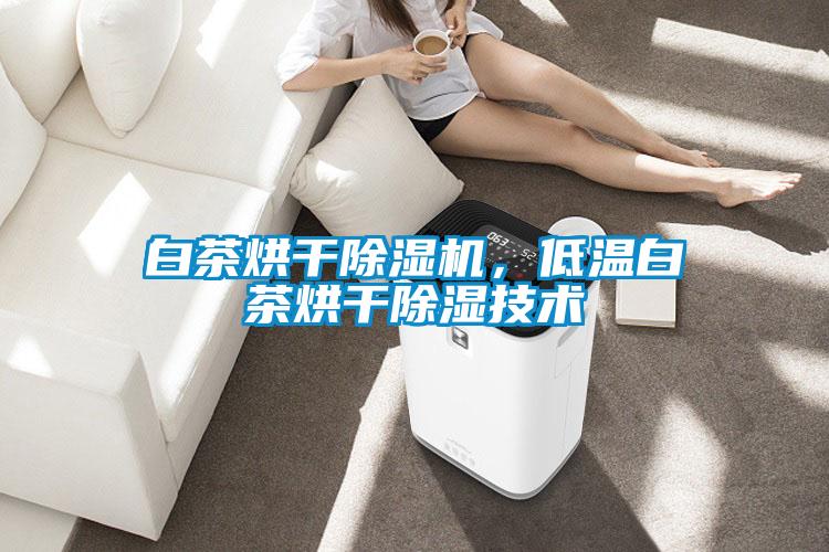 白茶烘干除濕機(jī)，低溫白茶烘干除濕技術(shù)