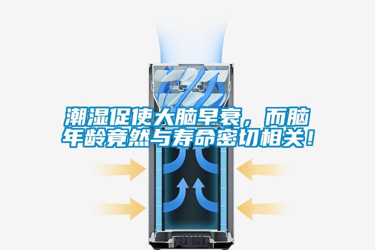 潮濕促使大腦早衰，而腦年齡竟然與壽命密切相關(guān)！
