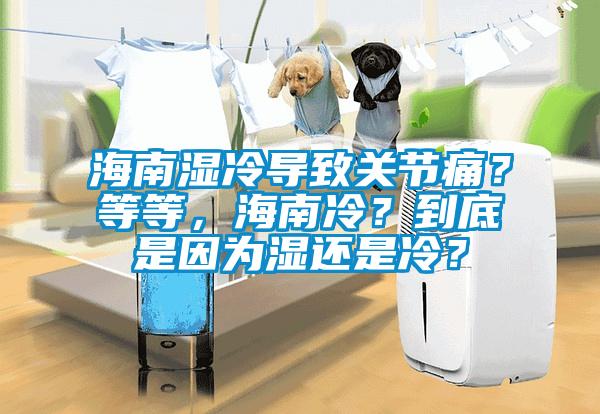 海南濕冷導(dǎo)致關(guān)節(jié)痛？等等，海南冷？到底是因為濕還是冷？