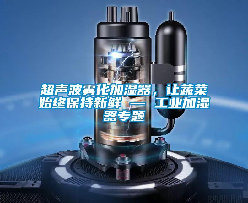 超聲波霧化加濕器，讓蔬菜始終保持新鮮 — 工業加濕器專題