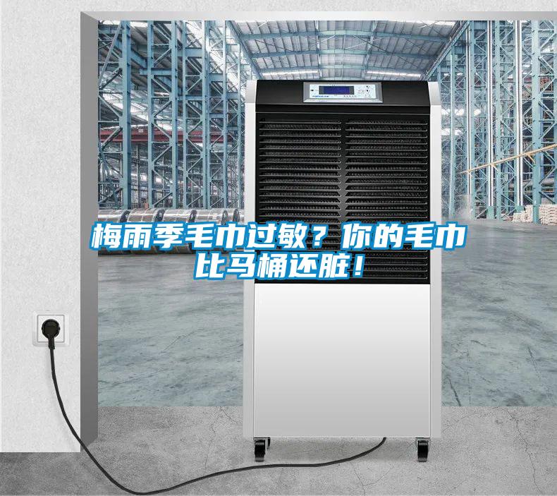 梅雨季毛巾過敏？你的毛巾比馬桶還臟！