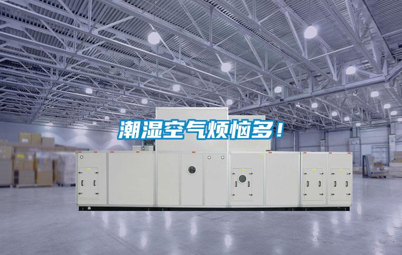 潮濕空氣煩惱多！