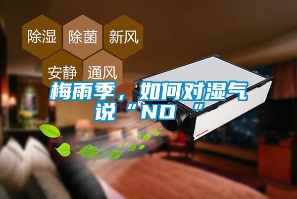 梅雨季，如何對濕氣說“NO ”