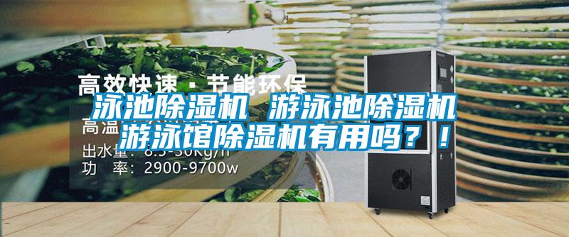 泳池除濕機 游泳池除濕機 游泳館除濕機有用嗎？！