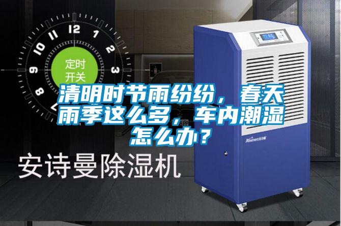 清明時節雨紛紛，春天雨季這么多，車內潮濕怎么辦？