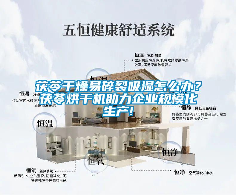 茯苓干燥易碎裂吸濕怎么辦？茯苓烘干機助力企業規?；a!