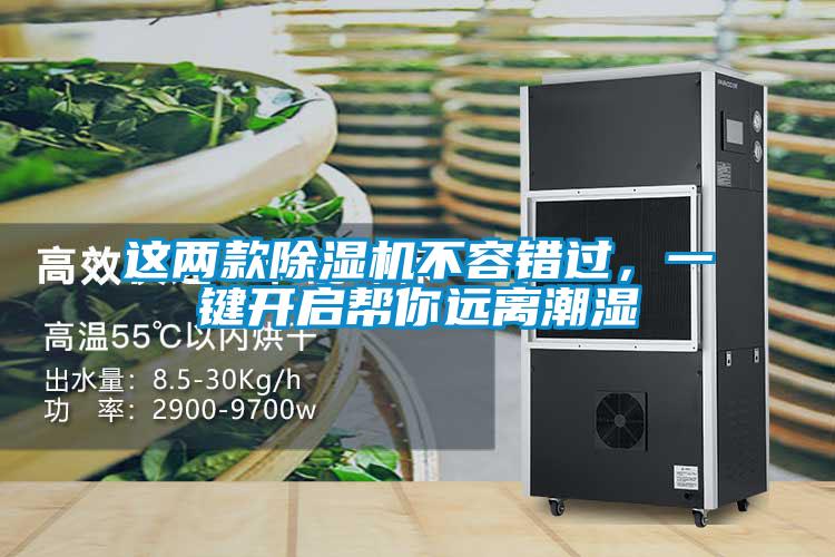 這兩款除濕機不容錯過，一鍵開啟幫你遠離潮濕
