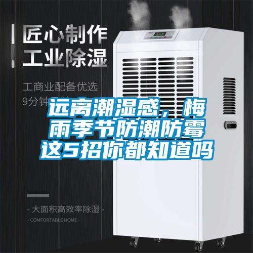 遠(yuǎn)離潮濕感，梅雨季節(jié)防潮防霉這5招你都知道嗎