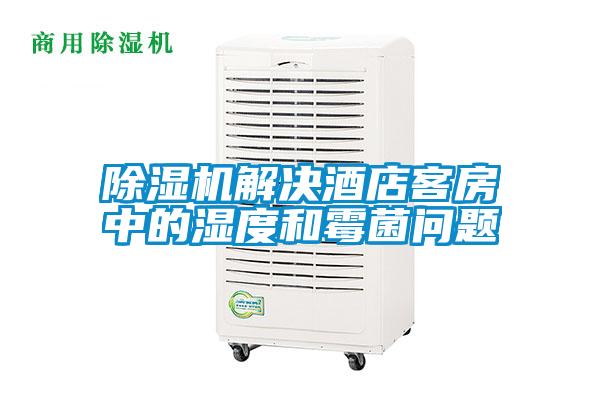 除濕機(jī)解決酒店客房中的濕度和霉菌問題