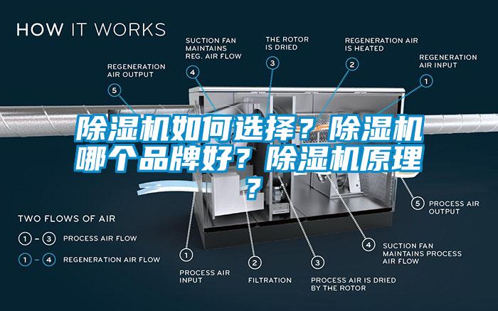 除濕機(jī)如何選擇?除濕機(jī)哪個(gè)品牌好?除濕機(jī)原理?