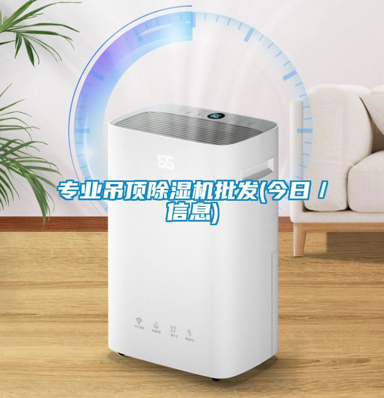 專(zhuān)業(yè)吊頂除濕機(jī)批發(fā)(今日／信息)