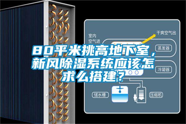 80平米挑高地下室，新風除濕系統應該怎求么搭建？