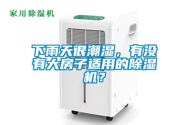 下雨天很潮濕，有沒有大房子適用的除濕機(jī)？