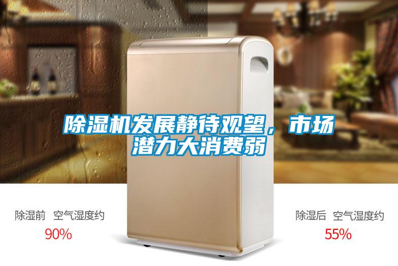 除濕機(jī)發(fā)展靜待觀望，市場(chǎng)潛力大消費(fèi)弱