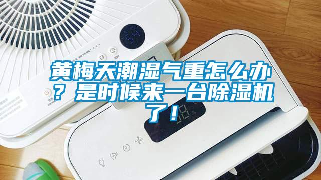 黃梅天潮濕氣重怎么辦？是時候來一臺除濕機(jī)了！