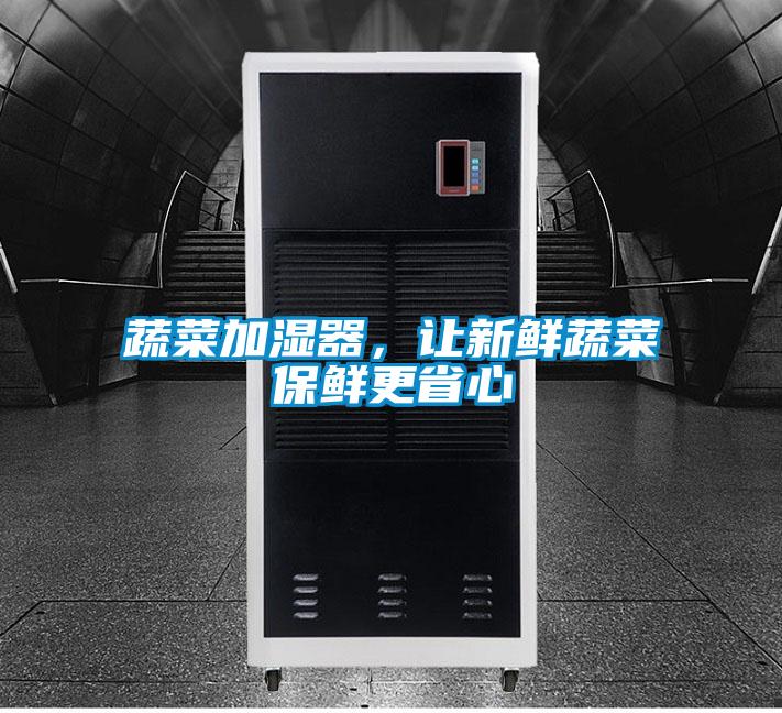 蔬菜加濕器，讓新鮮蔬菜保鮮更省心