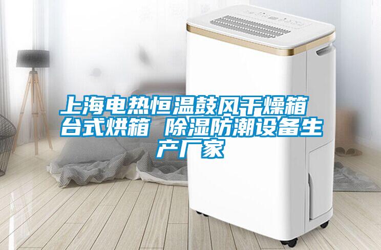 上海電熱恒溫鼓風干燥箱 臺式烘箱 除濕防潮設備生產廠家