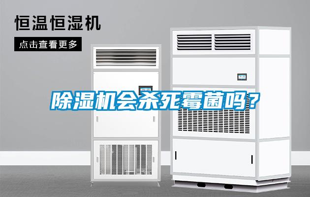 除濕機(jī)會(huì)殺死霉菌嗎？