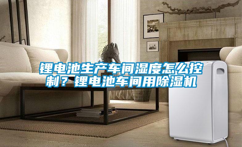 鋰電池生產(chǎn)車間濕度怎么控制？鋰電池車間用除濕機