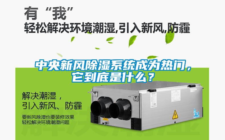 中央新風除濕系統成為熱門，它到底是什么？