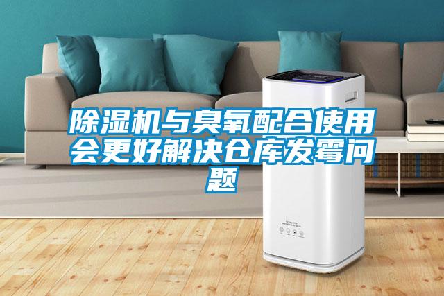 除濕機(jī)與臭氧配合使用會(huì)更好解決倉(cāng)庫(kù)發(fā)霉問題