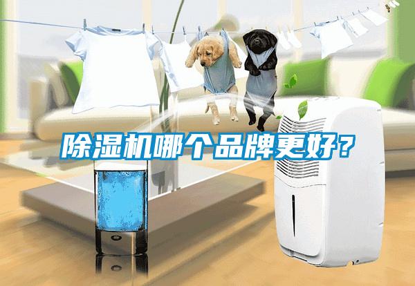除濕機(jī)哪個(gè)品牌更好？