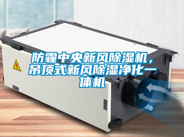 防霾中央新風除濕機，吊頂式新風除濕凈化一體機