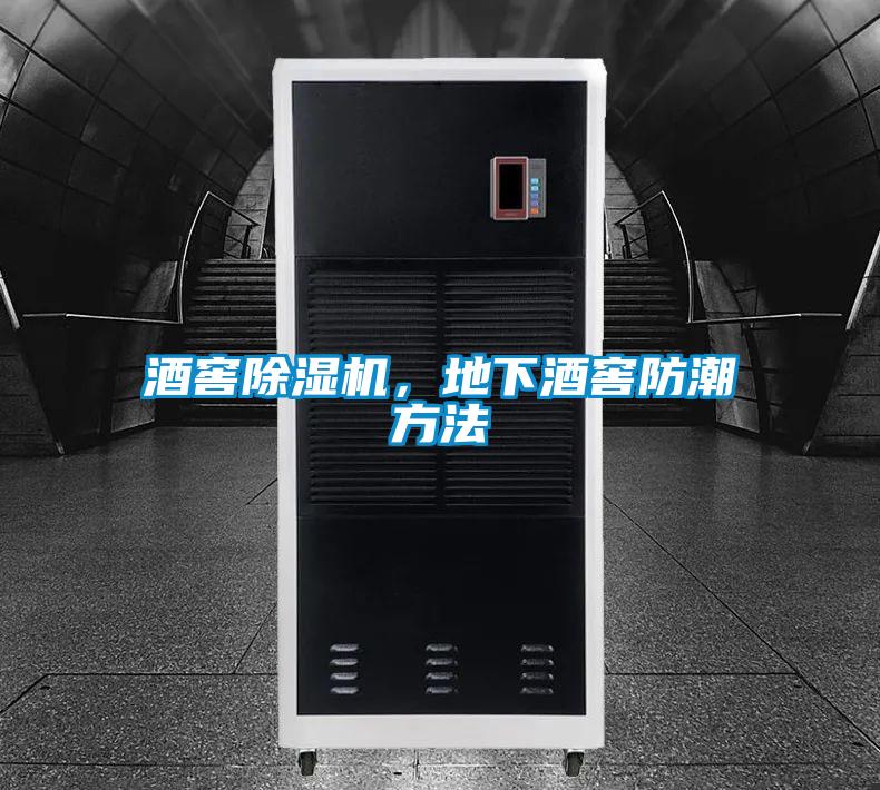 酒窖除濕機(jī)，地下酒窖防潮方法