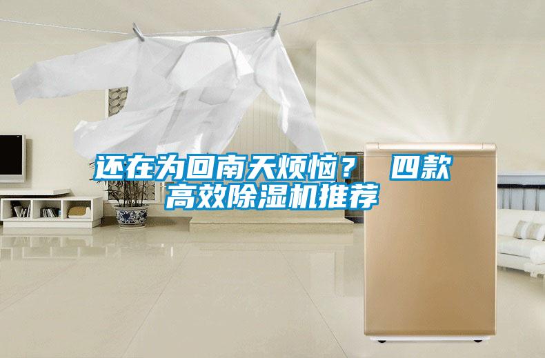 還在為回南天煩惱？ 四款高效除濕機(jī)推薦