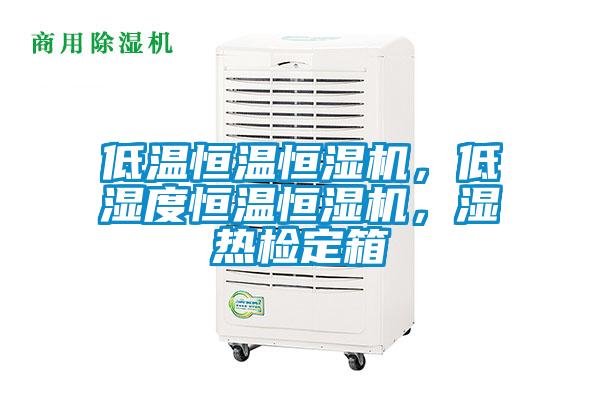 低溫恒溫恒濕機(jī)，低濕度恒溫恒濕機(jī)，濕熱檢定箱