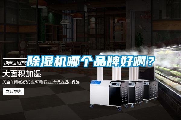 除濕機(jī)哪個(gè)品牌好啊?