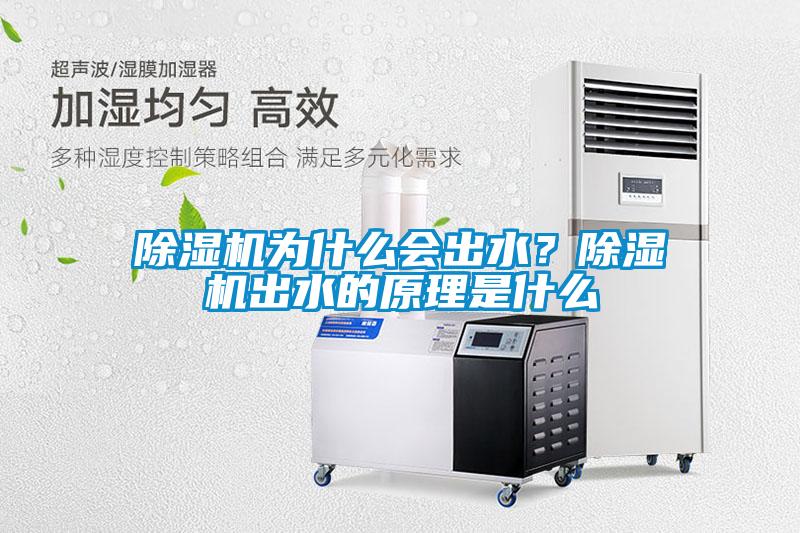 除濕機為什么會出水？除濕機出水的原理是什么
