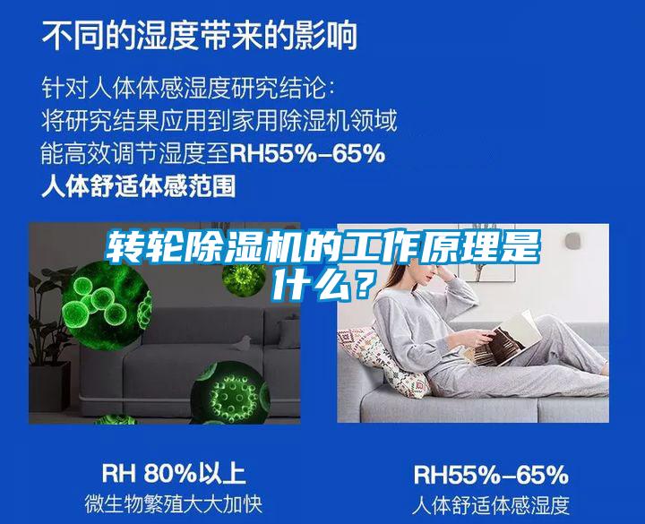 轉輪除濕機的工作原理是什么？