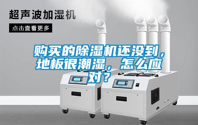購買的除濕機還沒到，地板很潮濕，怎么應對？