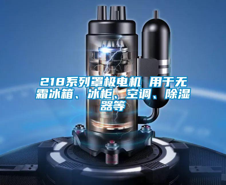 218系列罩極電機 用于無霜冰箱、冰柜、空調、除濕器等