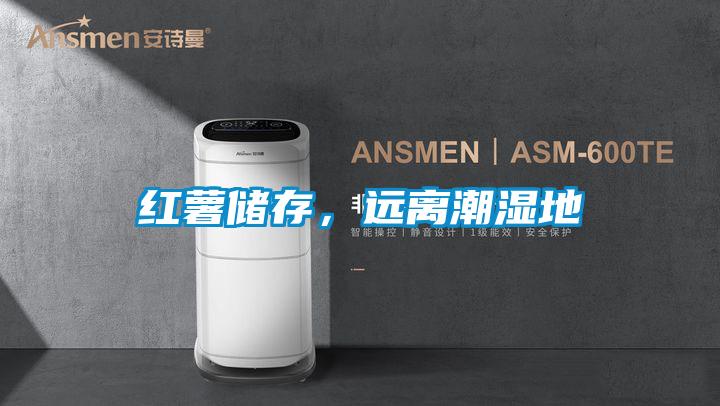 紅薯儲存，遠離潮濕地