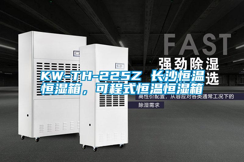 KW-TH-225Z 長沙恒溫恒濕箱，可程式恒溫恒濕箱