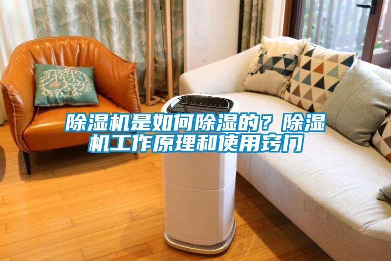 除濕機(jī)是如何除濕的？除濕機(jī)工作原理和使用竅門